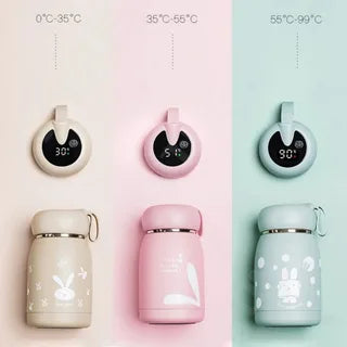 Temperature Bottle